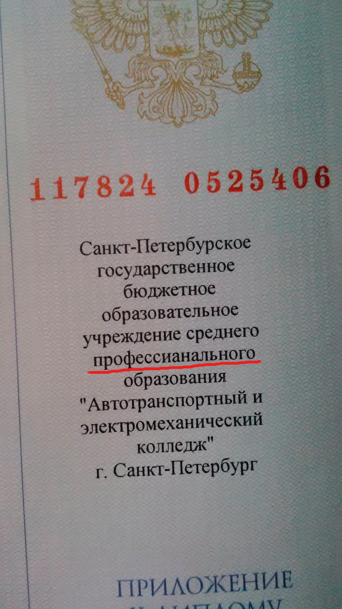 1483364970119342257.webp