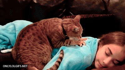 148414.gif