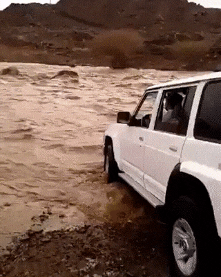 1486652370115343900.gif