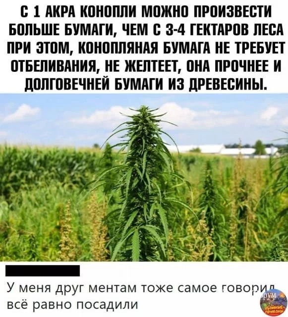 148c8b8b1acab427.webp