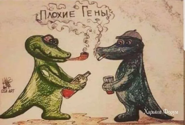148cea78b7f2d8a52e.webp