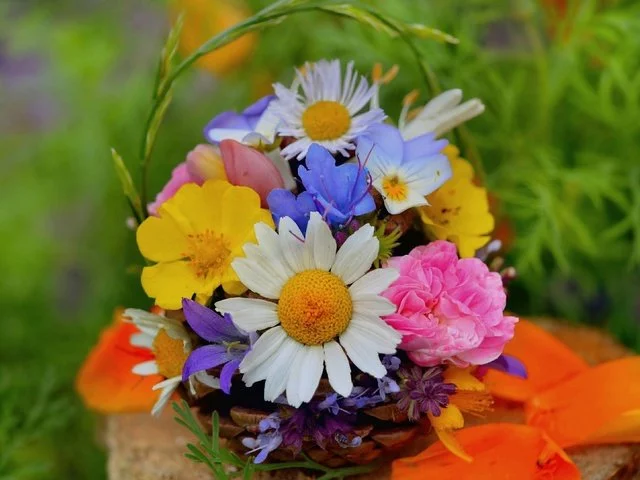 149961793059625a8ae36981.23240571.webp