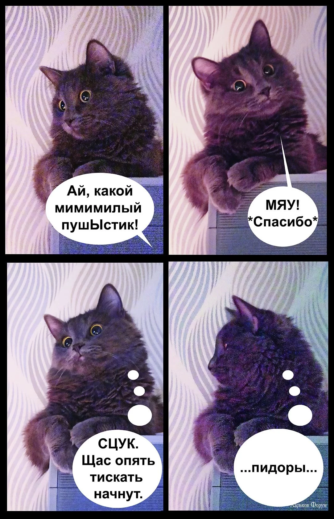 1499be01e9f8a527ae61274.webp