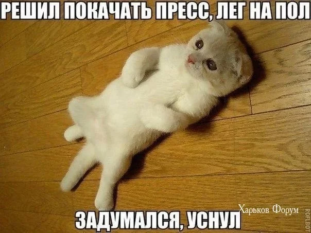 149e4e09666954d6c.webp