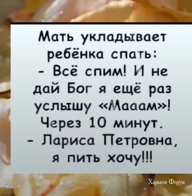 14a194ae50d279822de2a49.webp