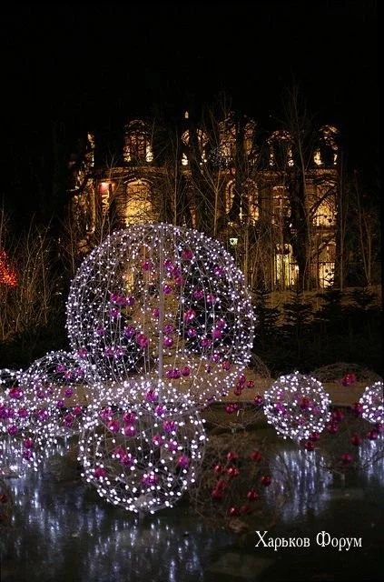 14ae56d564c8f0900.webp