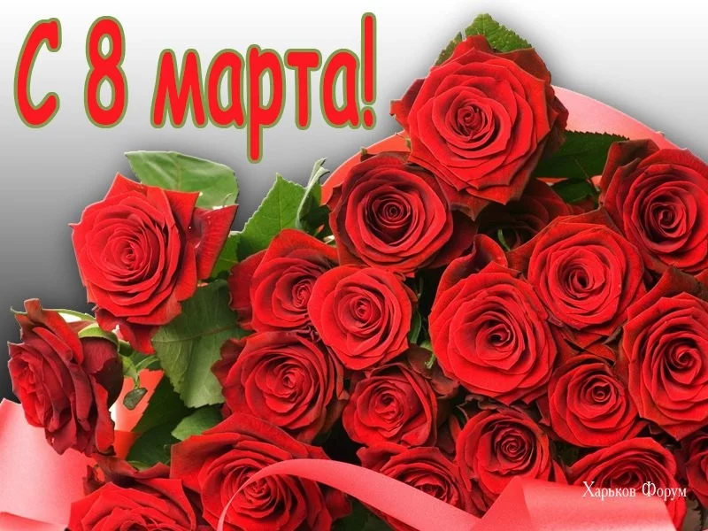 14d3239ccd242de24d3725.webp