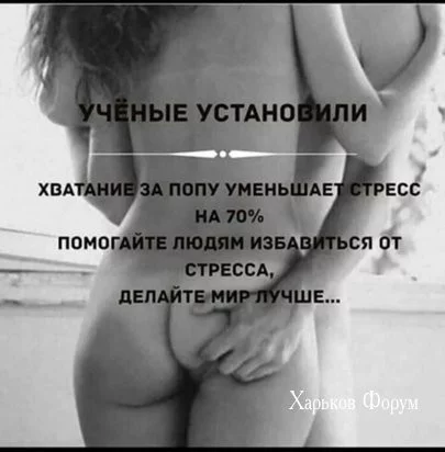 14dbe1c1188c3873fa8.webp