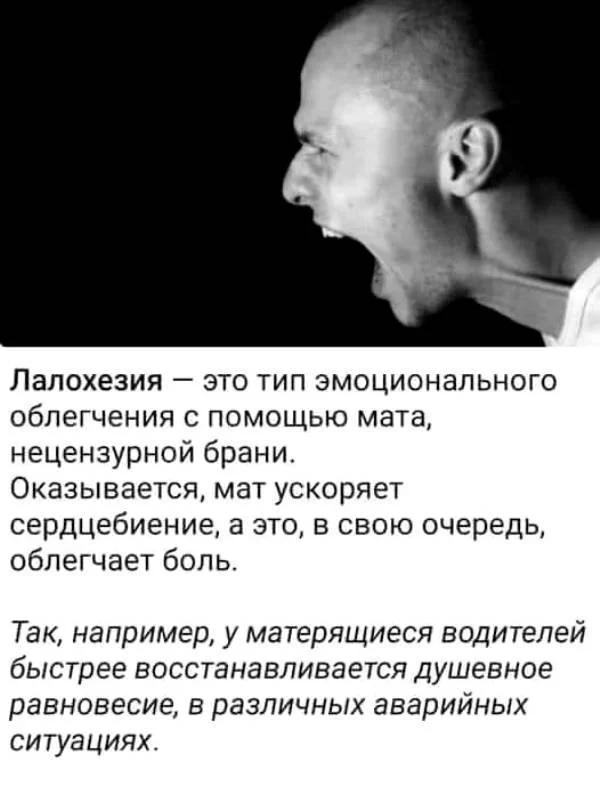 14e5d99f4f3adac35674.webp