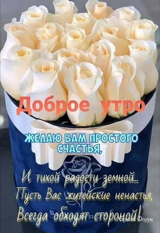 14eeac1efa9ed93decdd.jpg