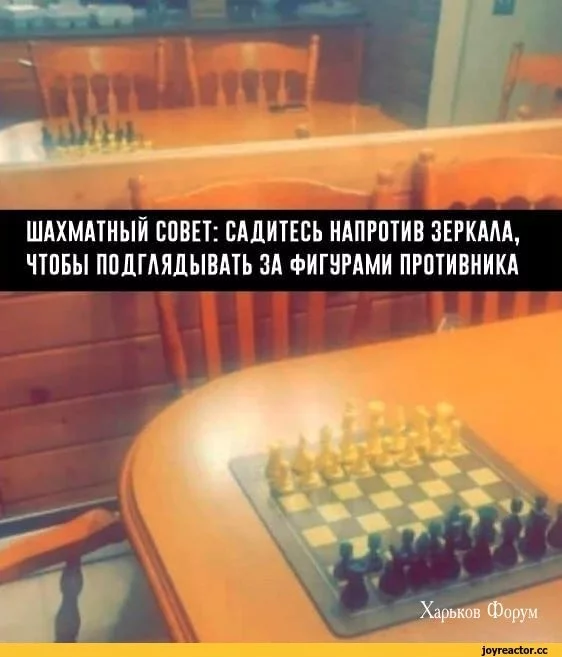 14eefa8104dfda2c88c.webp