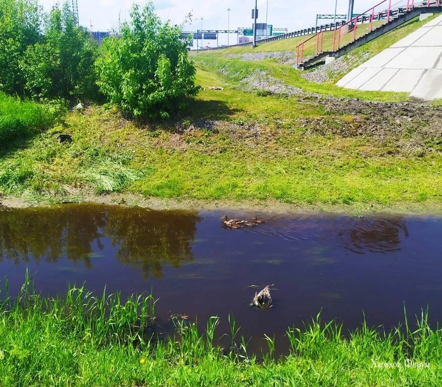 14ef53ffc02ba885df5460.webp 14ef53ffc02ba885df5460.webp