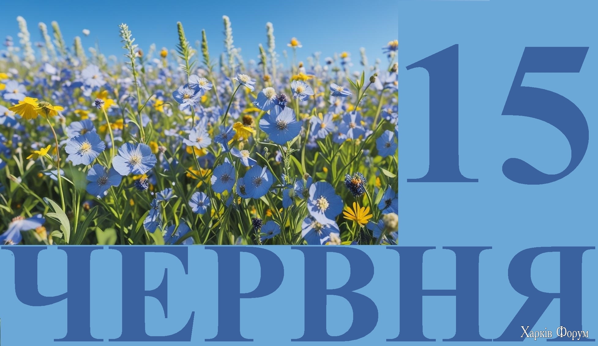 15-CHERVNYA.jpg