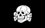 150px-SS_Totenkopf_Fahne.svg.png