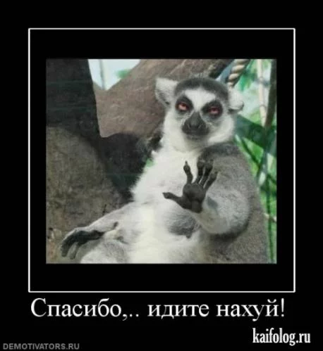 151662710.webp