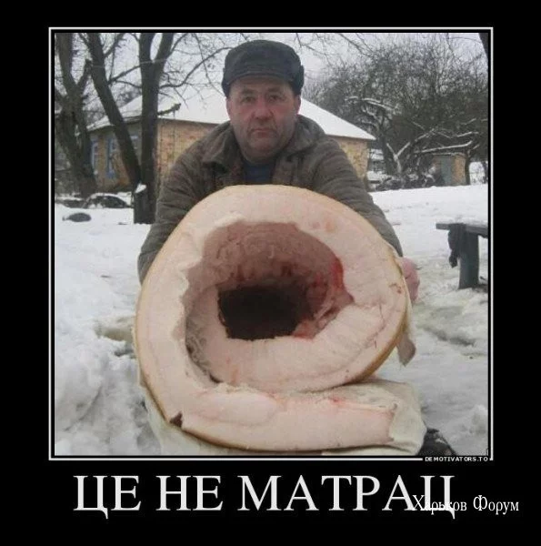 15236189863b2a308fe.webp