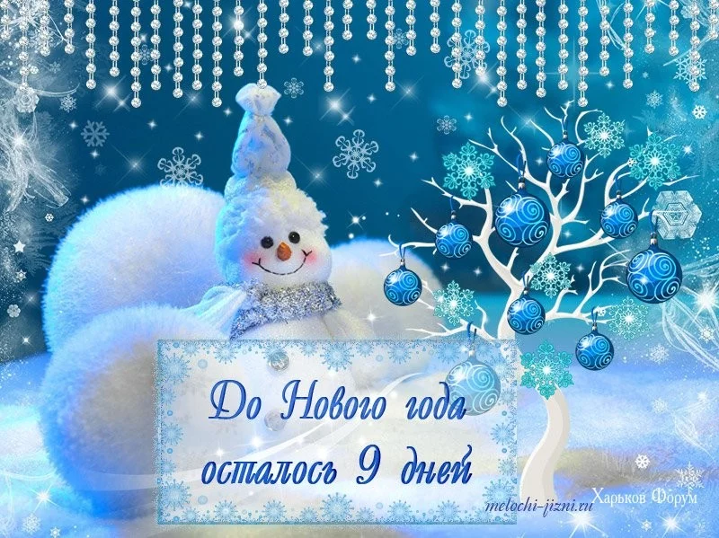 1523813eed4e09b8b3.webp