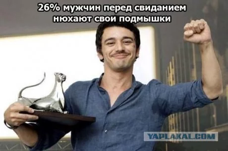 152395_268019.webp