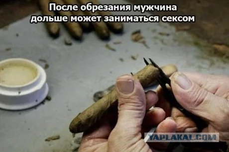 152395_268020.webp