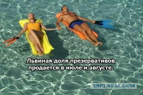 152395_268022.webp