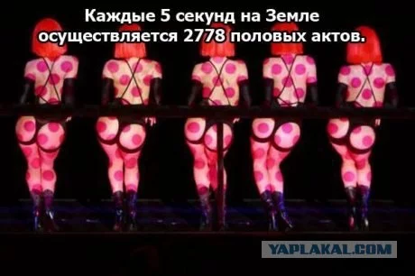 152395_268025.webp