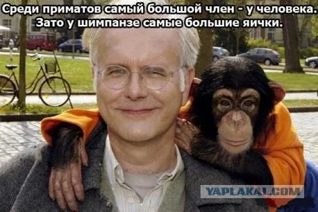 152395_268026.webp