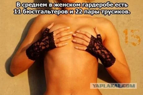 152395_268028.webp