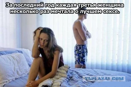 152395_268029.webp