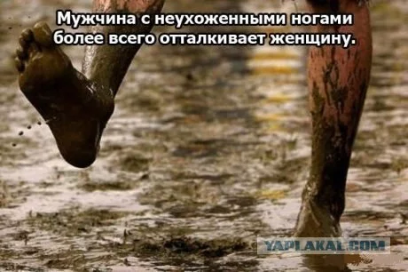 152395_268030.webp