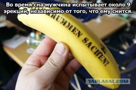 152395_268031.webp
