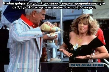 152395_268032.webp