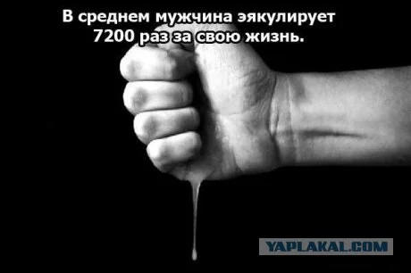 152395_268033.webp