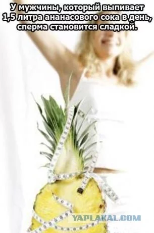 152395_268039.webp