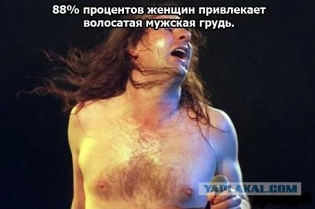152395_268040.webp