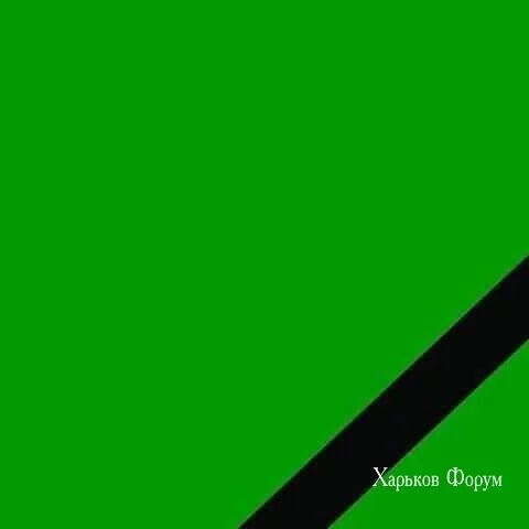1526fd8f0191ff293b7af2.webp