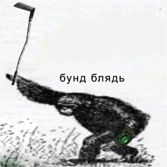 152740536815665437.webp