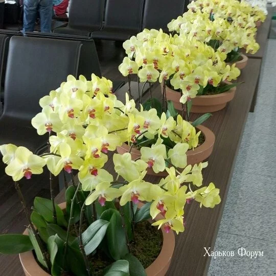 152c65a1f03acdae937.webp