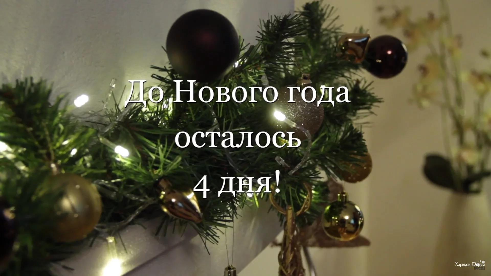 152ef084ed13c7b1340ef4.webp