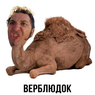 1532464363114679792.webp