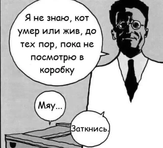153363.webp