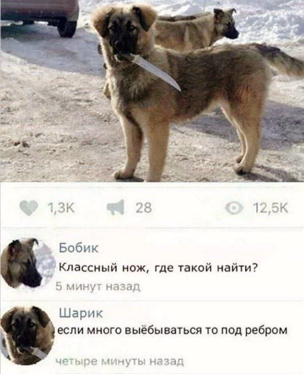 153524.webp