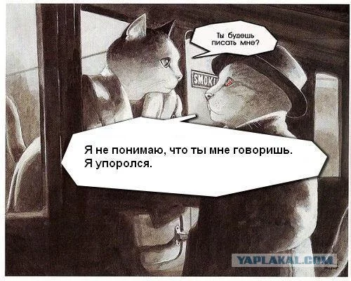 1535763.webp