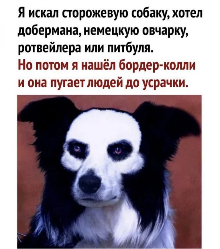153850.webp
