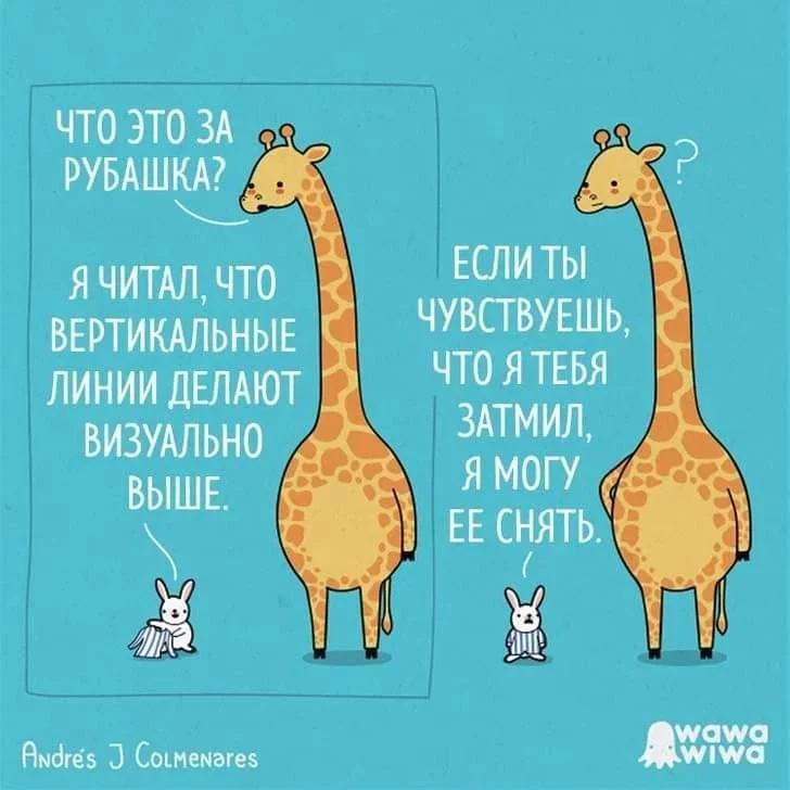 153901.webp