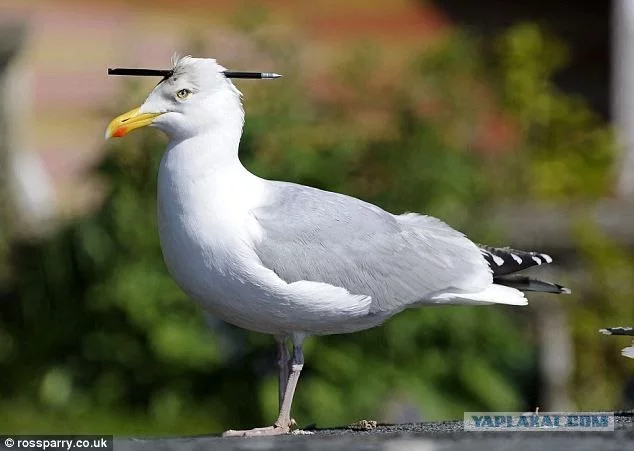 1540880.webp