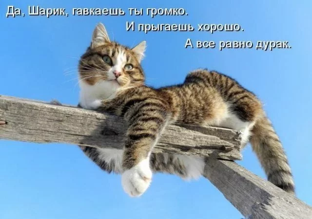 1541403645_14.webp