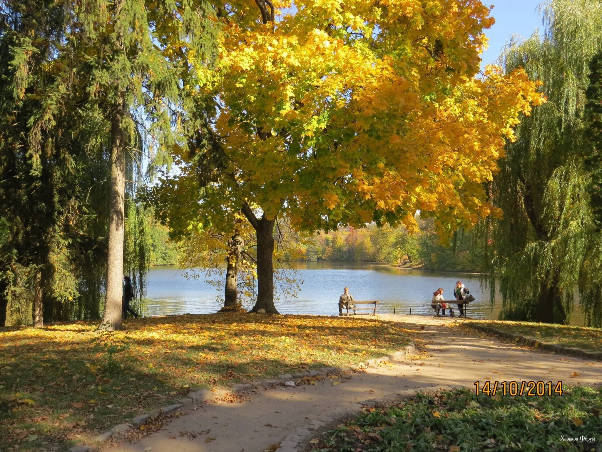 15420d53de3dcbff050c185d.webp