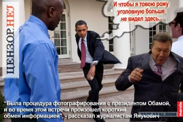 1543302.webp