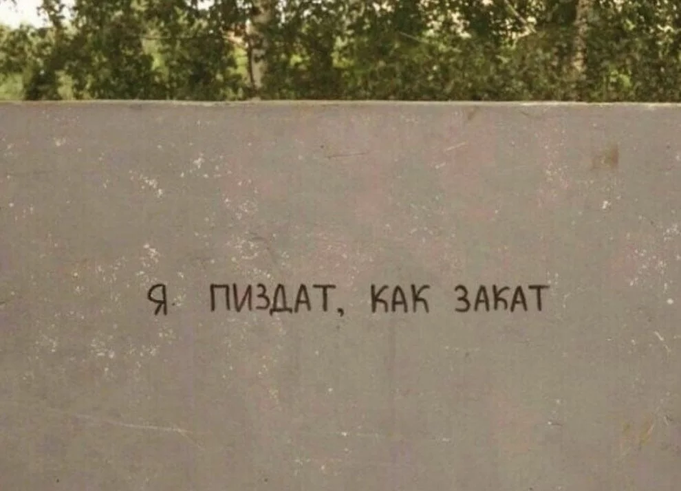 154368.webp