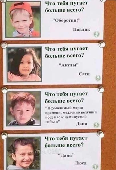154496.webp